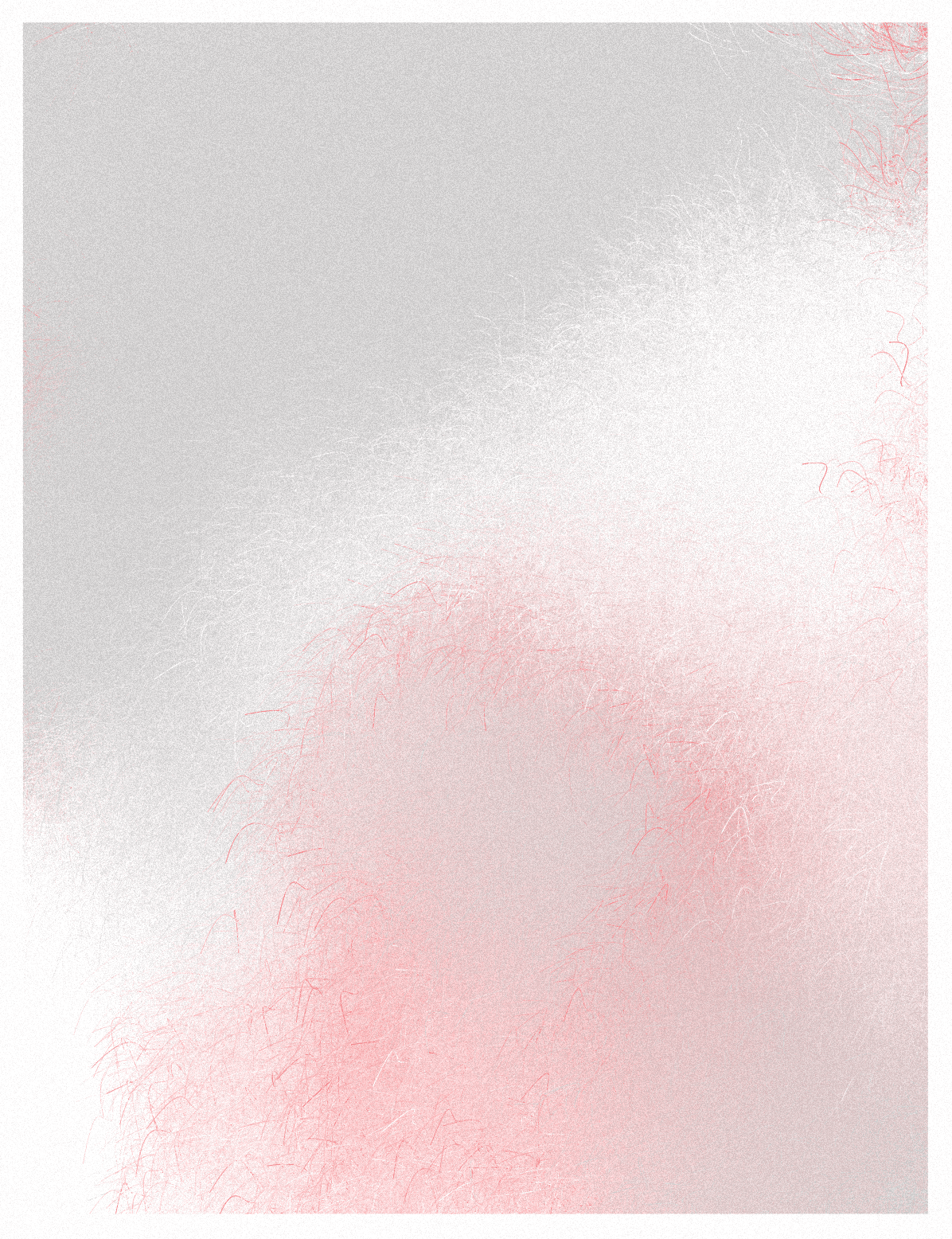 Collection image 10