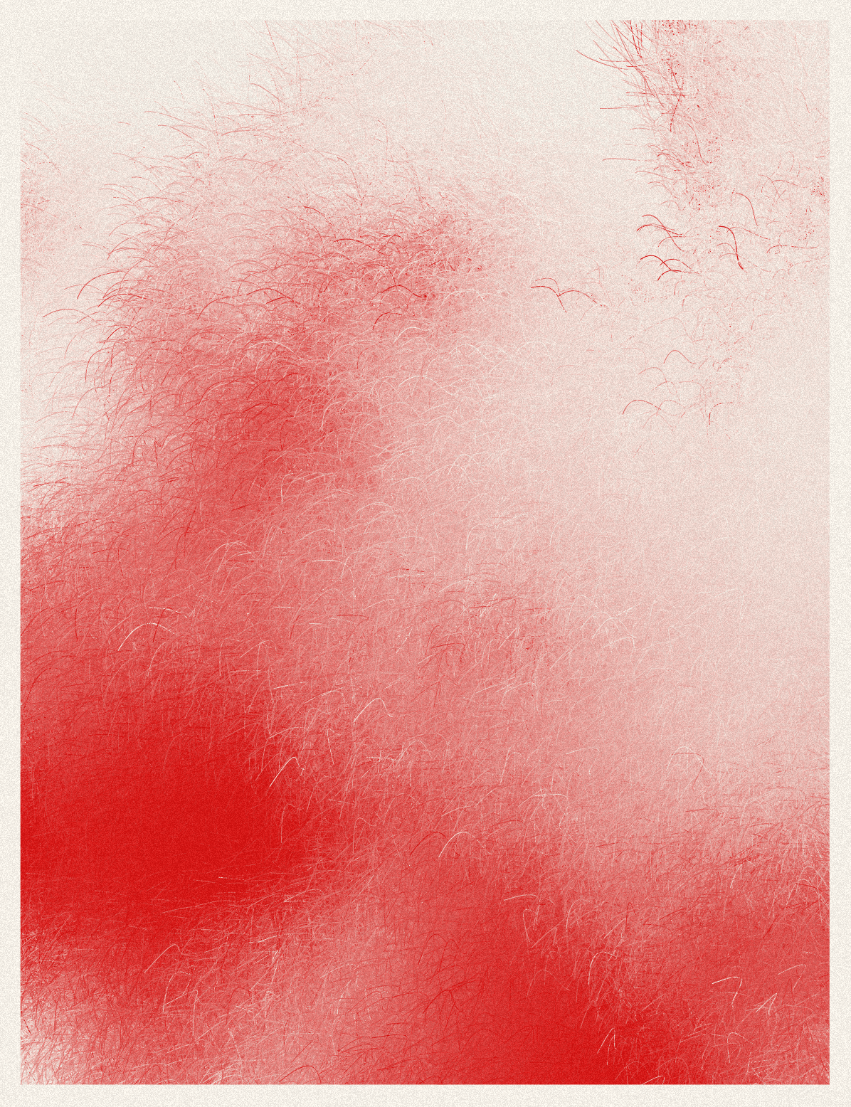 Collection image 11