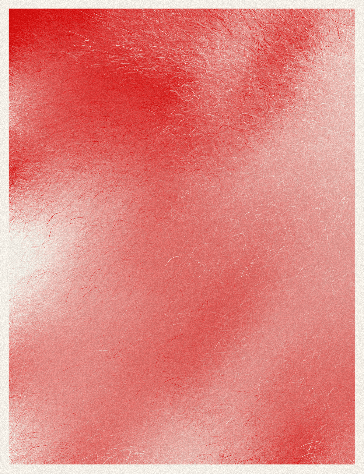 Collection image 14
