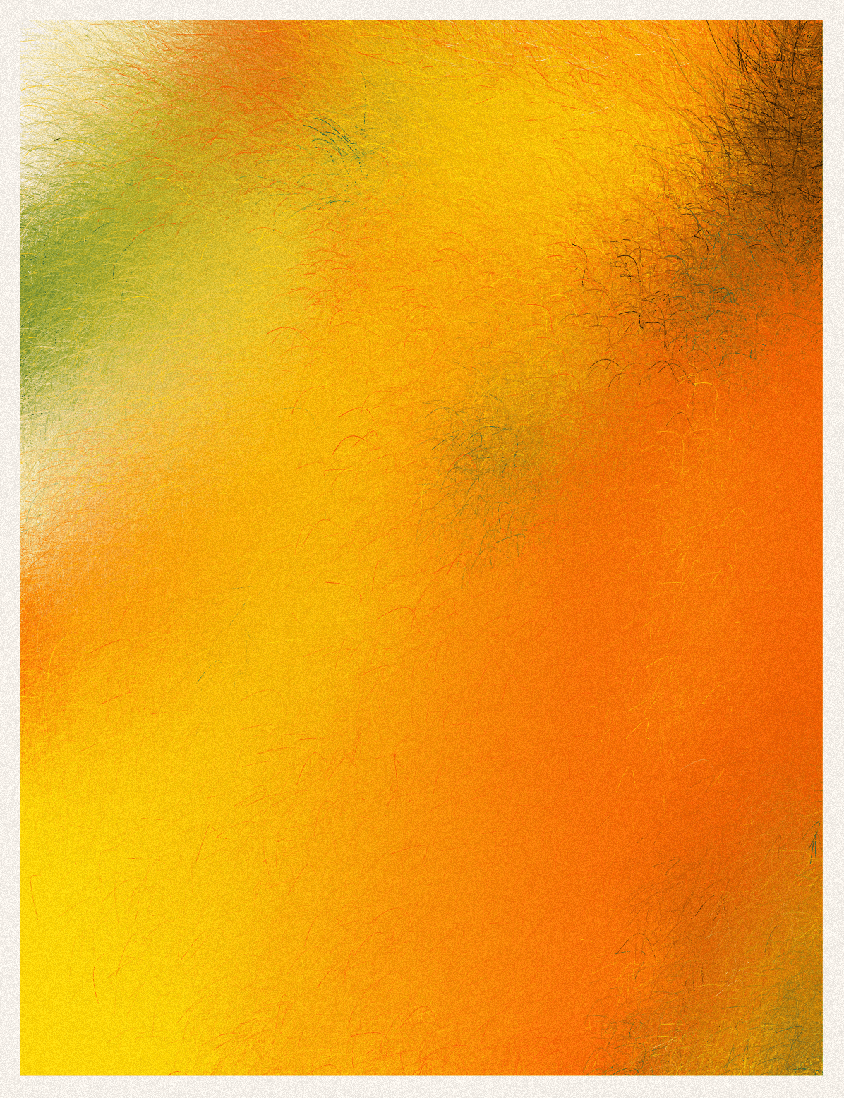 Collection image 2