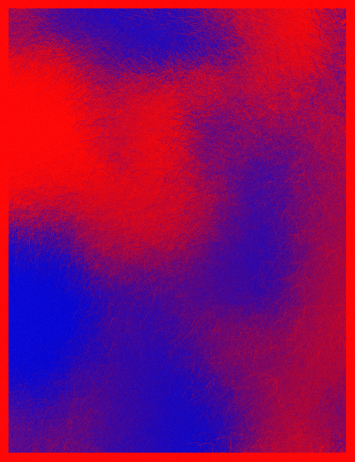 Collection image 20