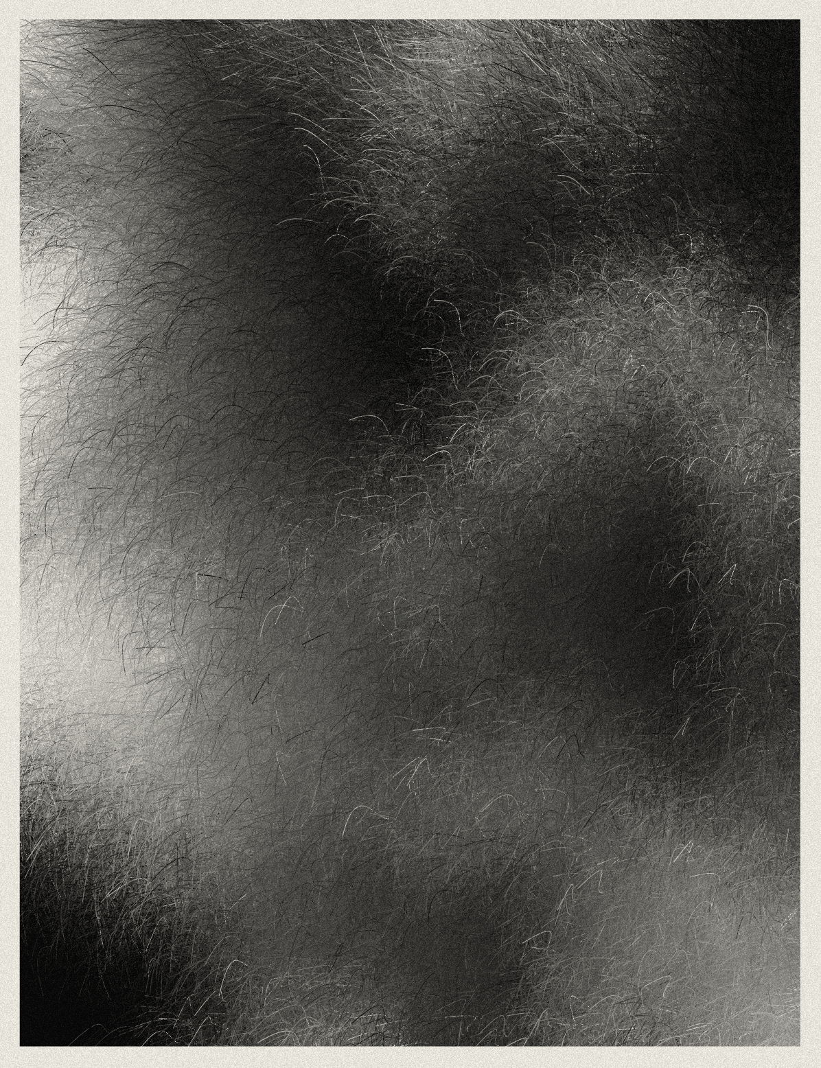 Collection image 4