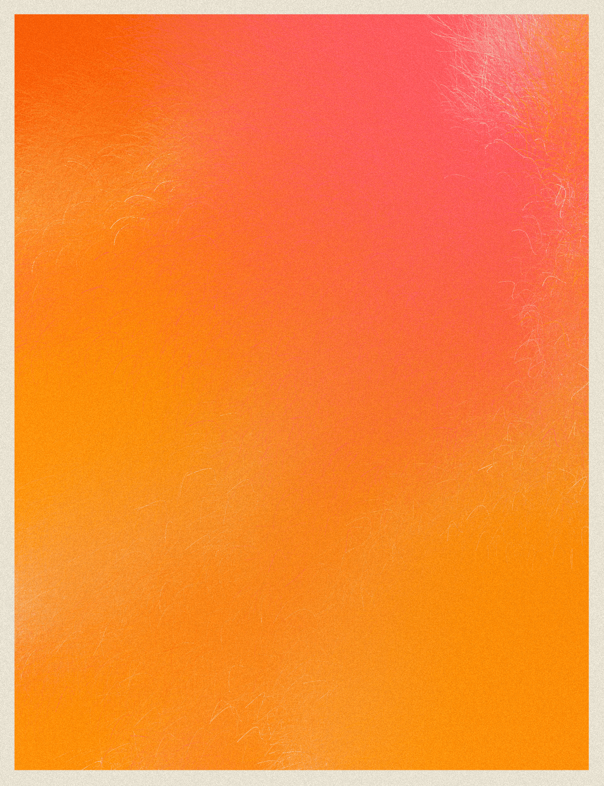 Collection image 6
