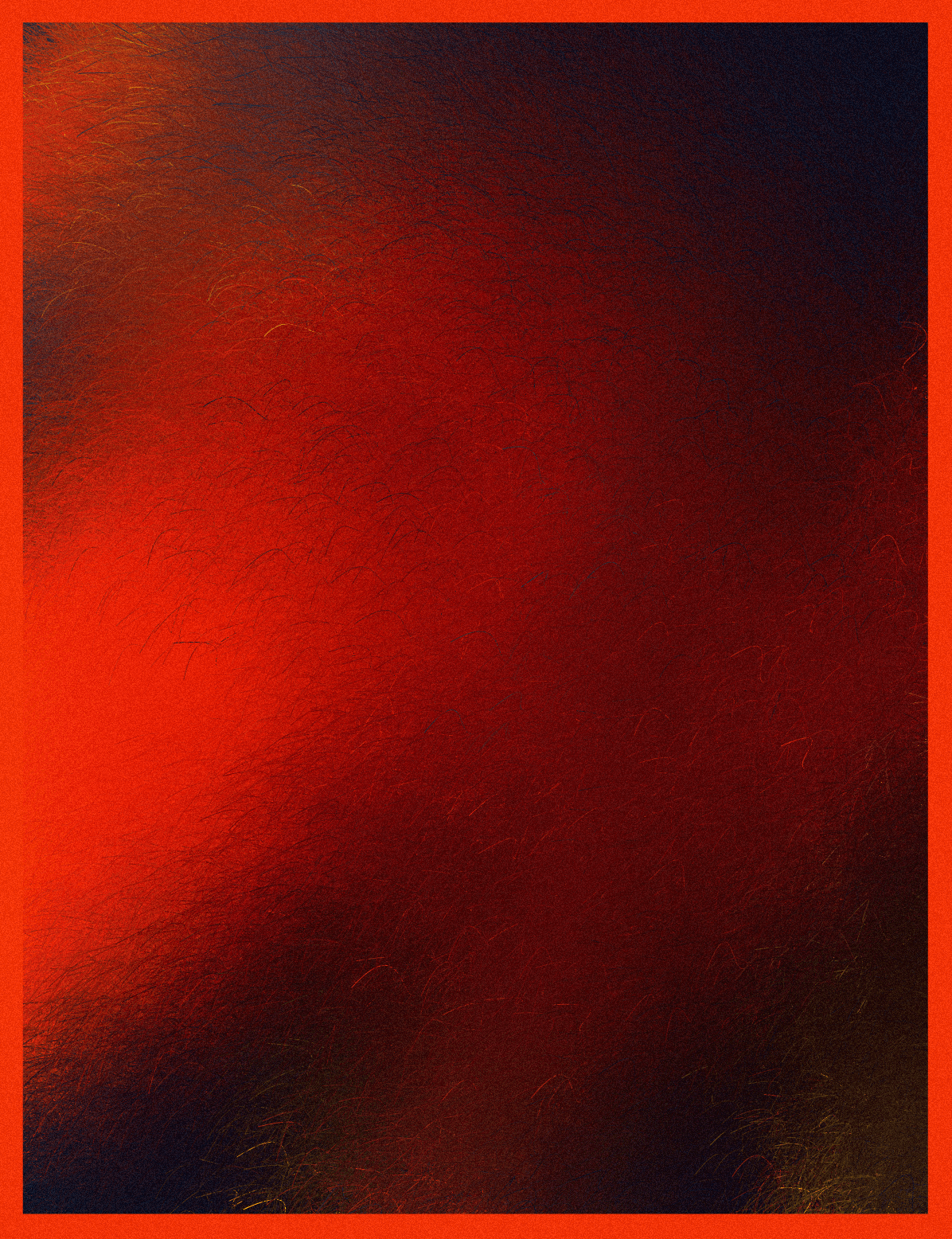Collection image 8